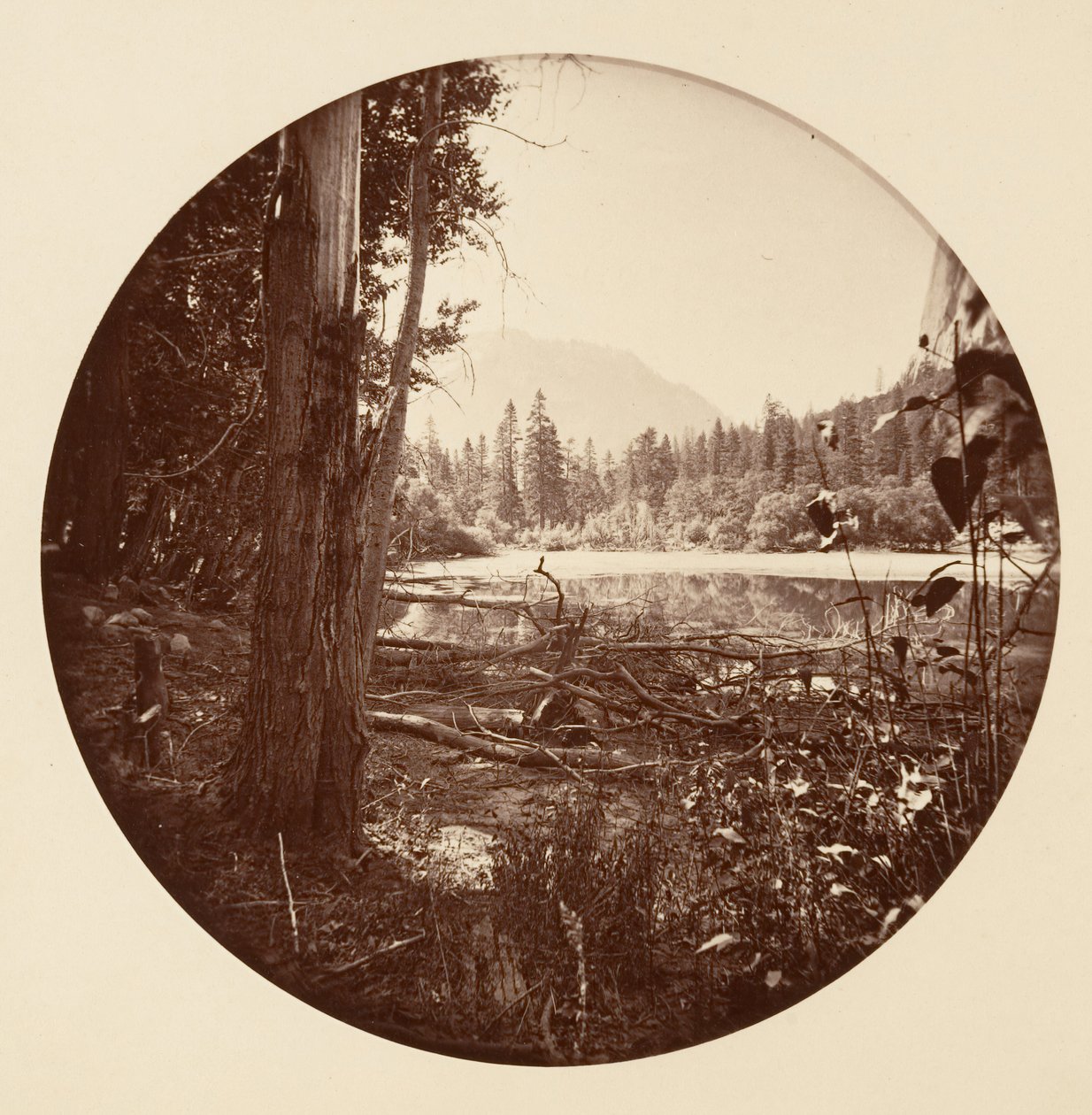 Parco Nazionale di Yosemite, California, ca. 1878 da Carleton Emmons Watkins