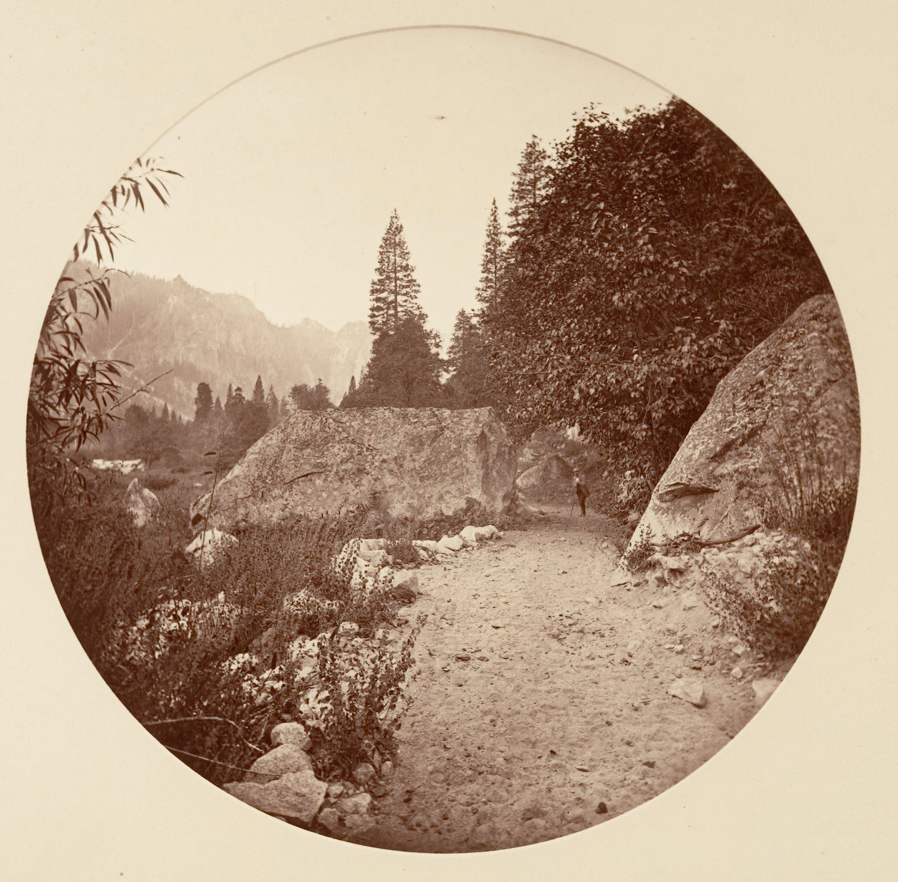 [Parco Nazionale di Yosemite, California], ca. 1878 da Carleton Emmons Watkins