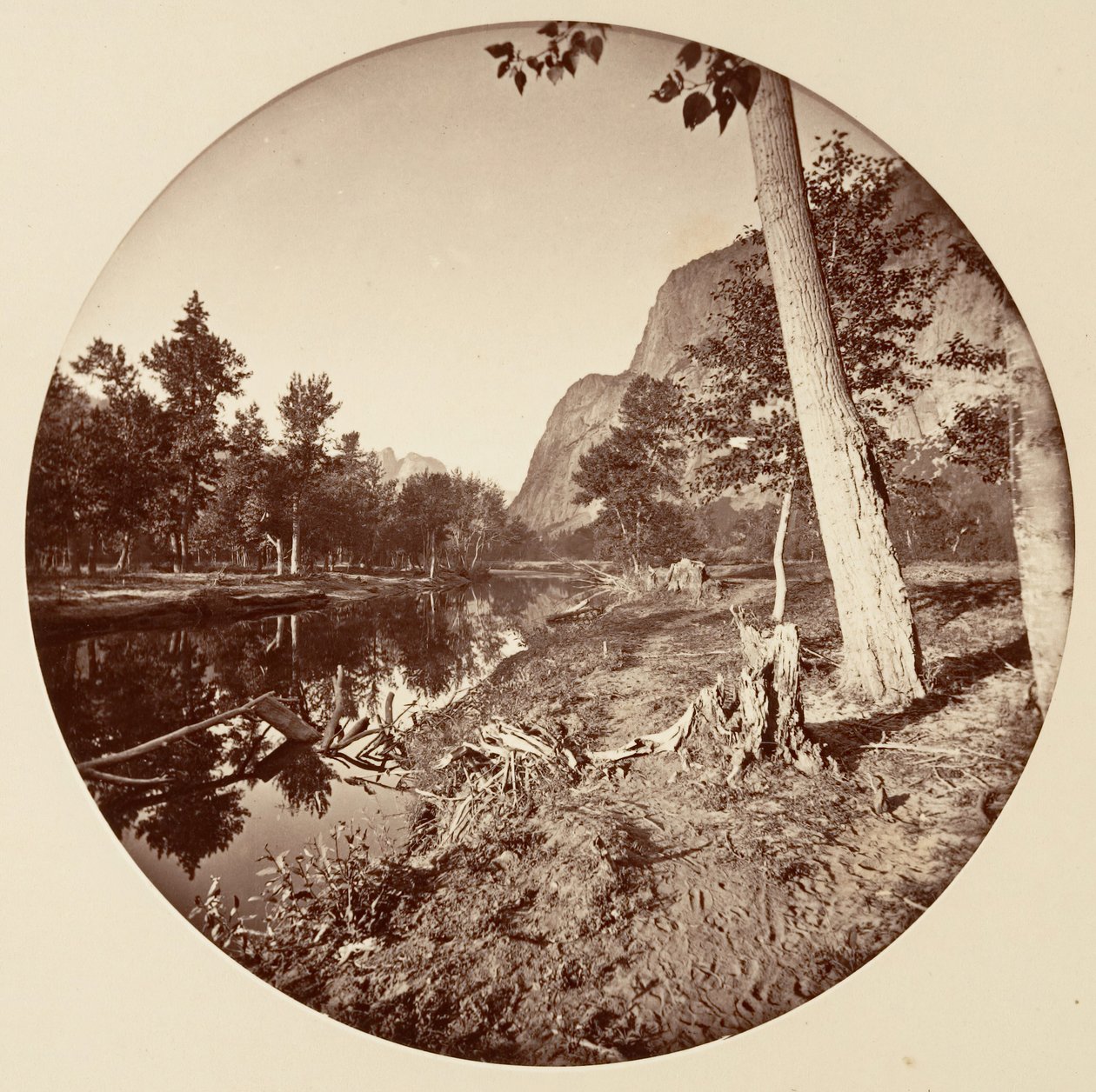 [Parco Nazionale di Yosemite, California], ca. 1878 da Carleton Emmons Watkins