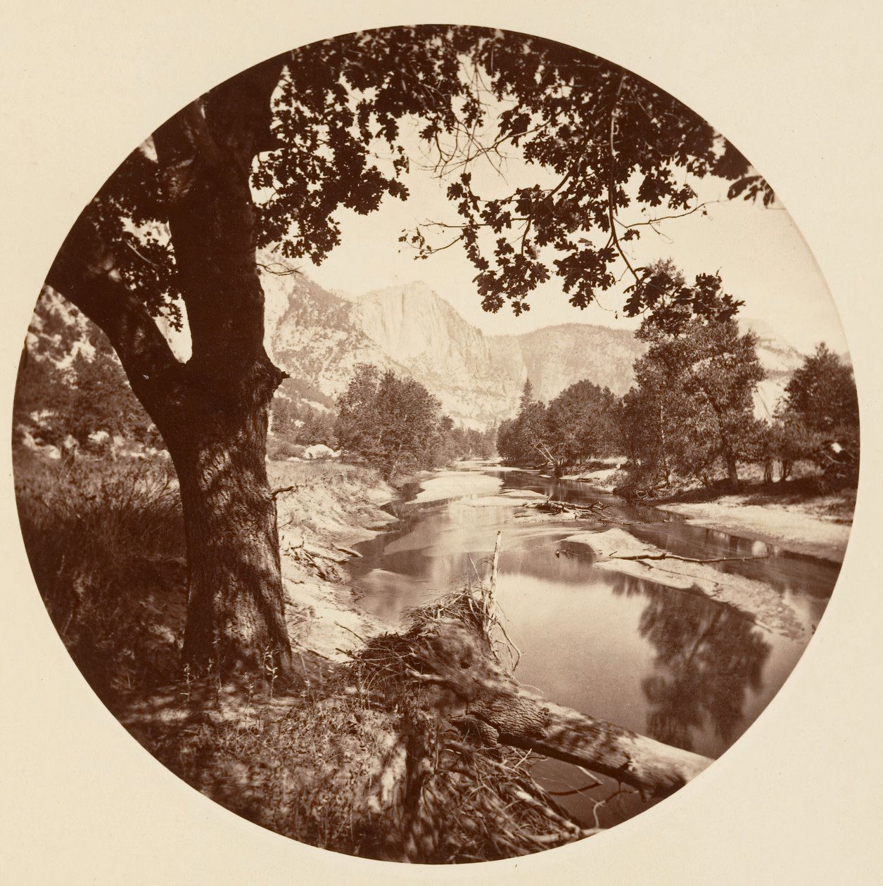 Parco Nazionale di Yosemite, California da Carleton Emmons Watkins