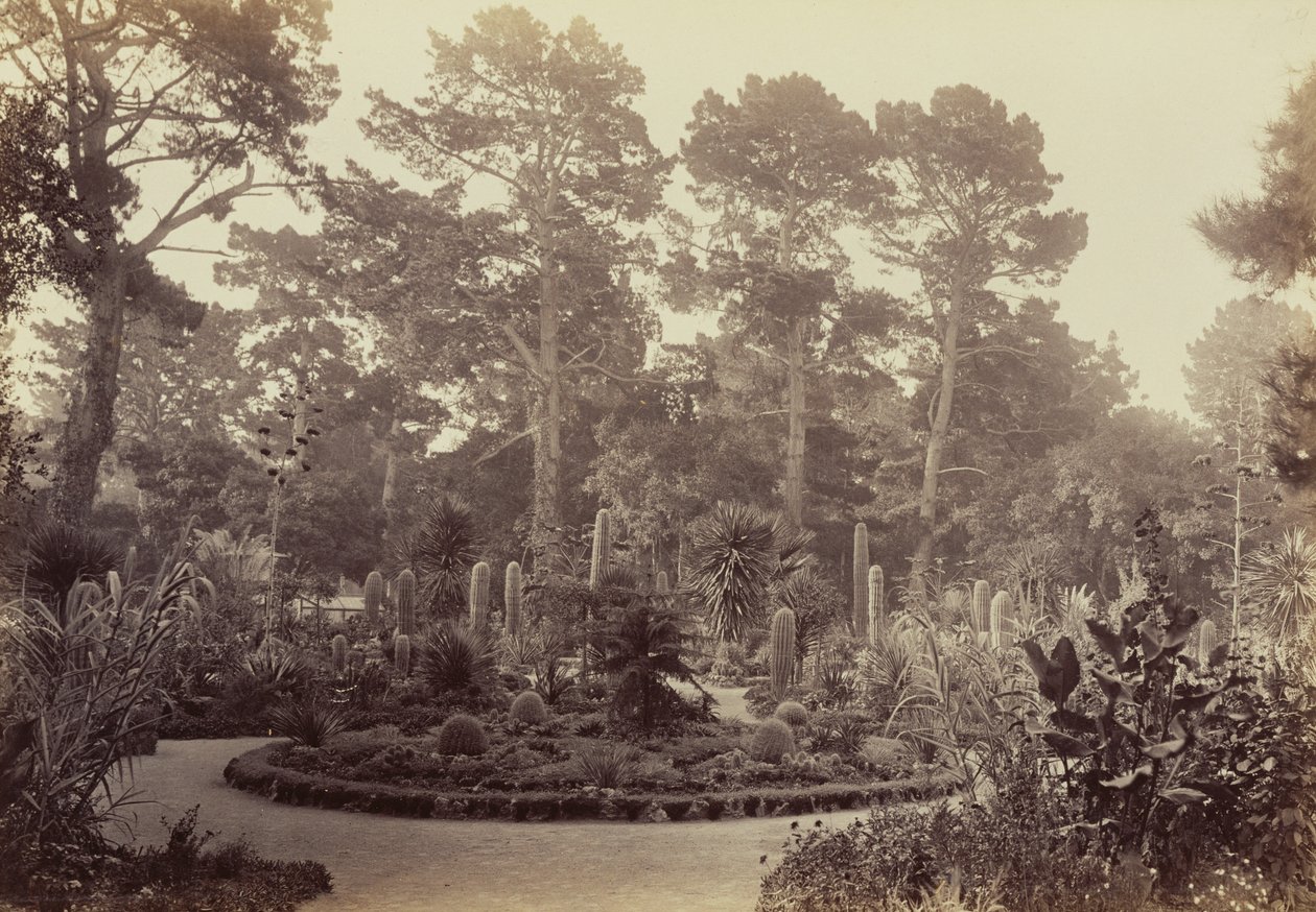 [Giardino dell