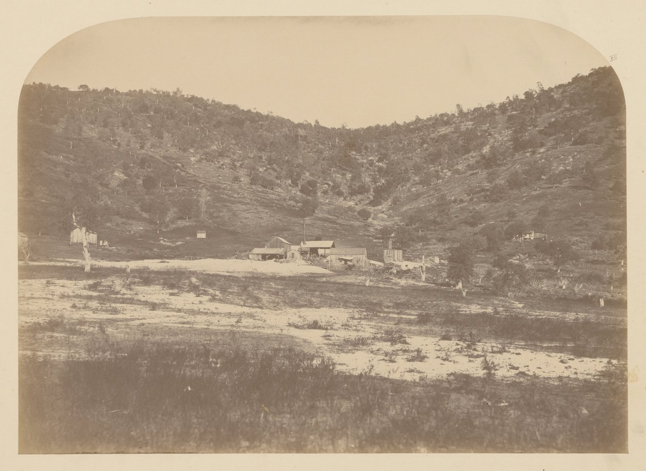 Mulino della Bear Valley da Carleton Watkins
