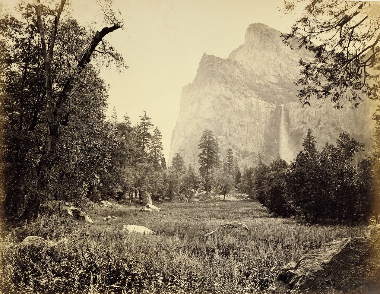 Velo nuziale, 900 piedi da Carleton Watkins