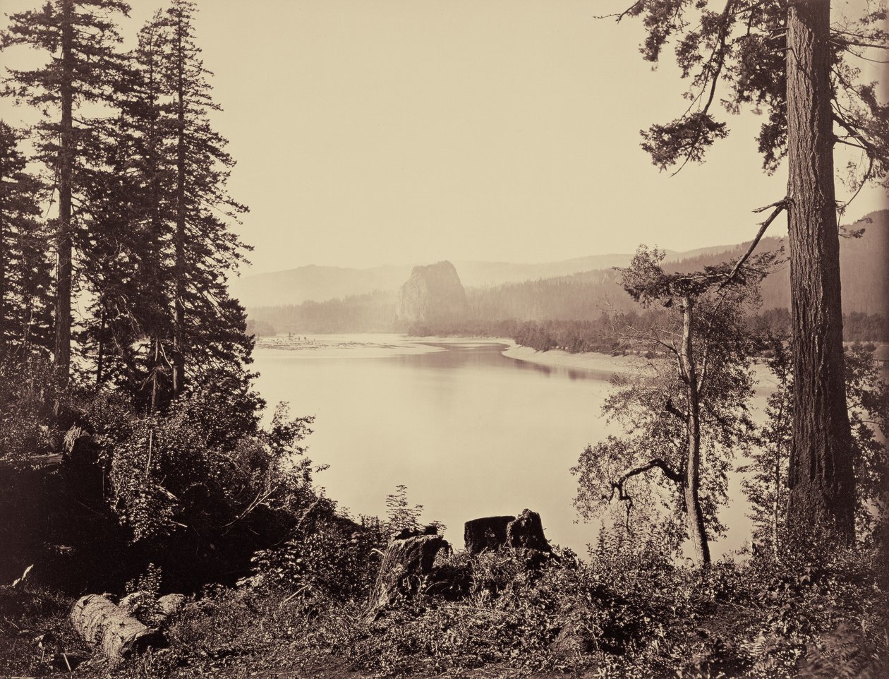Castle Rock, fiume Columbia da Carleton Watkins