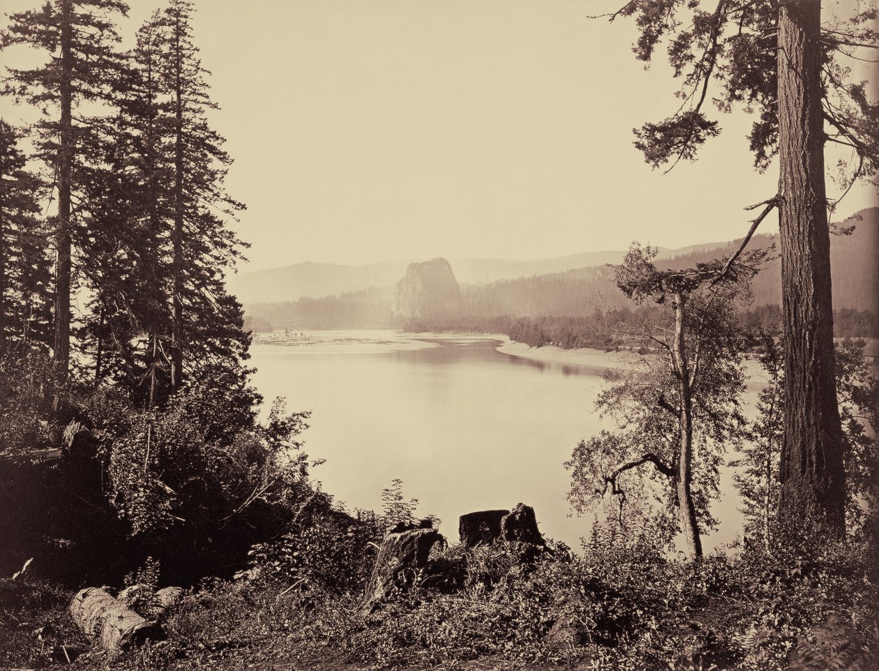 Roccia del Castello, fiume Columbia da Carleton Watkins