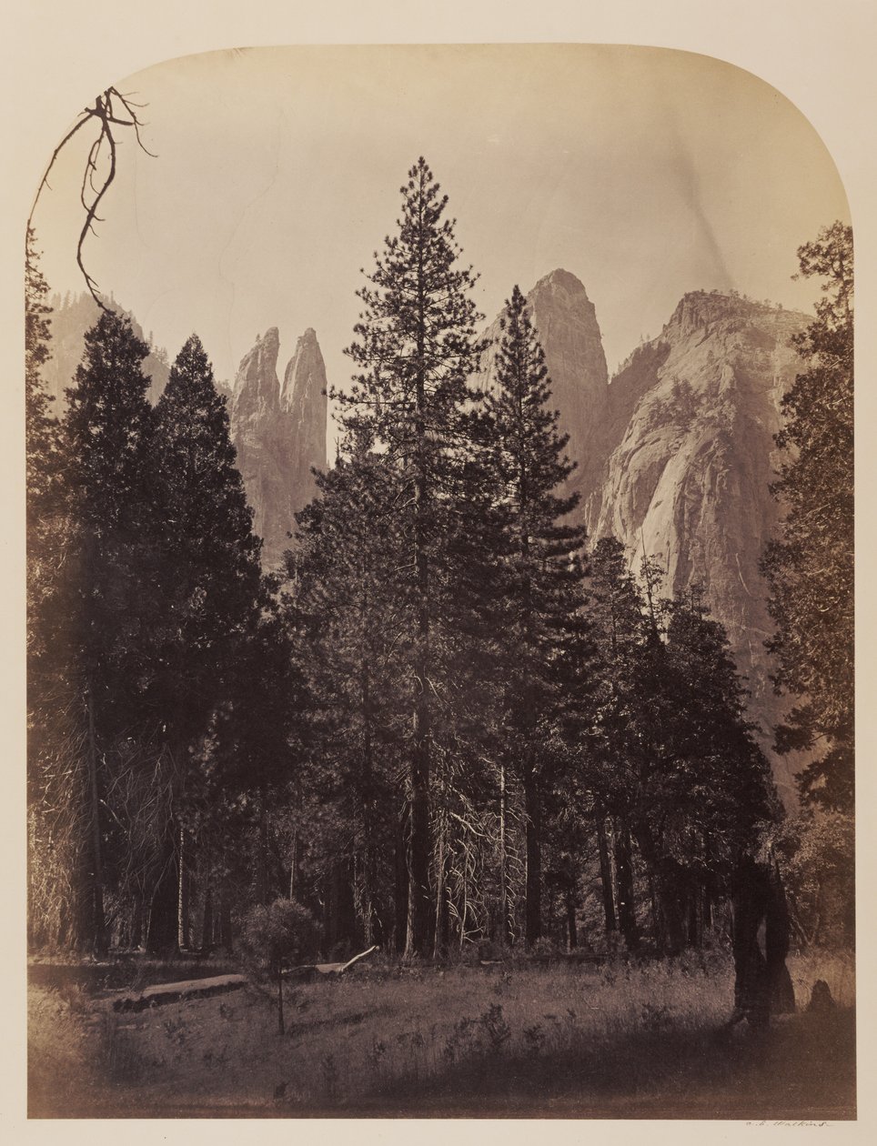 Guglie della cattedrale - Yosemite da Carleton Watkins