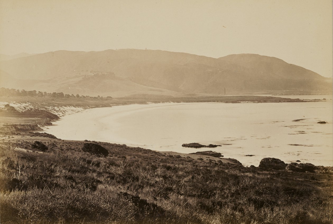 [Veduta della costa, Monterey] da Carleton Watkins