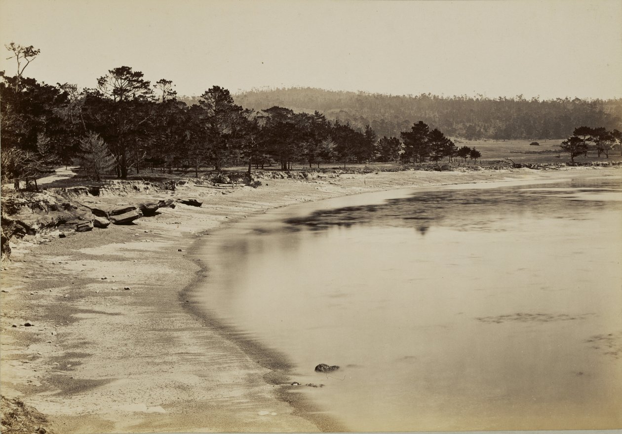 [Vista sulla costa nei pressi di Monterey] da Carleton Watkins