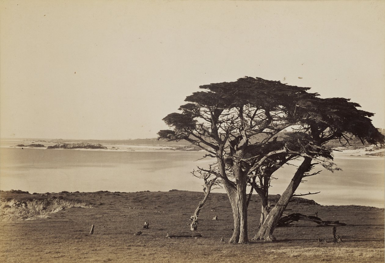 Veduta costiera presso Monterey da Carleton Watkins
