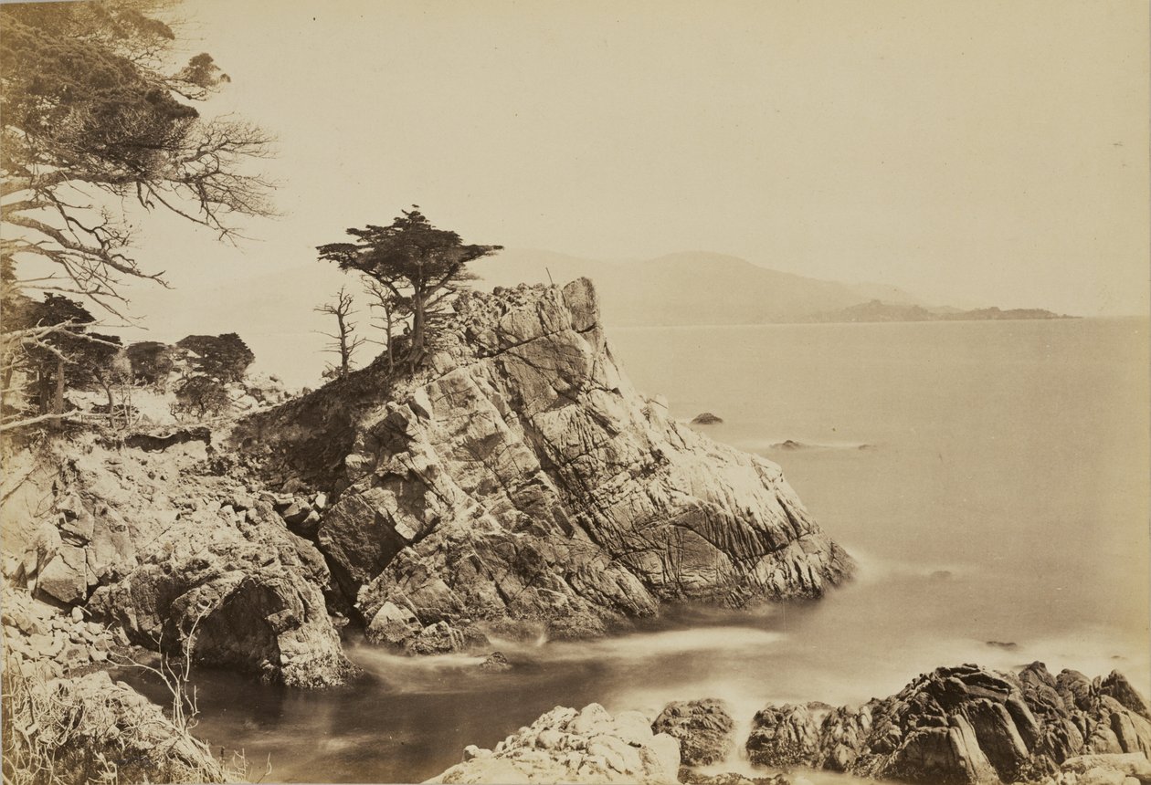 [Cypress Point] da Carleton Watkins