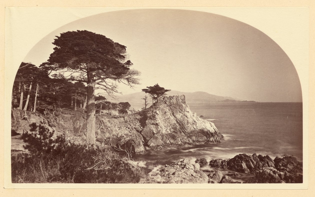 [Cypress Point da Cypress Drive, Monterey, California] da Carleton Watkins