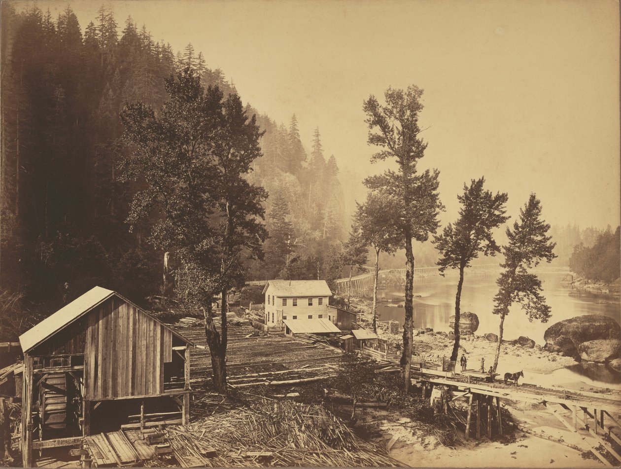 Eagle Creek, fiume Columbia da Carleton Watkins