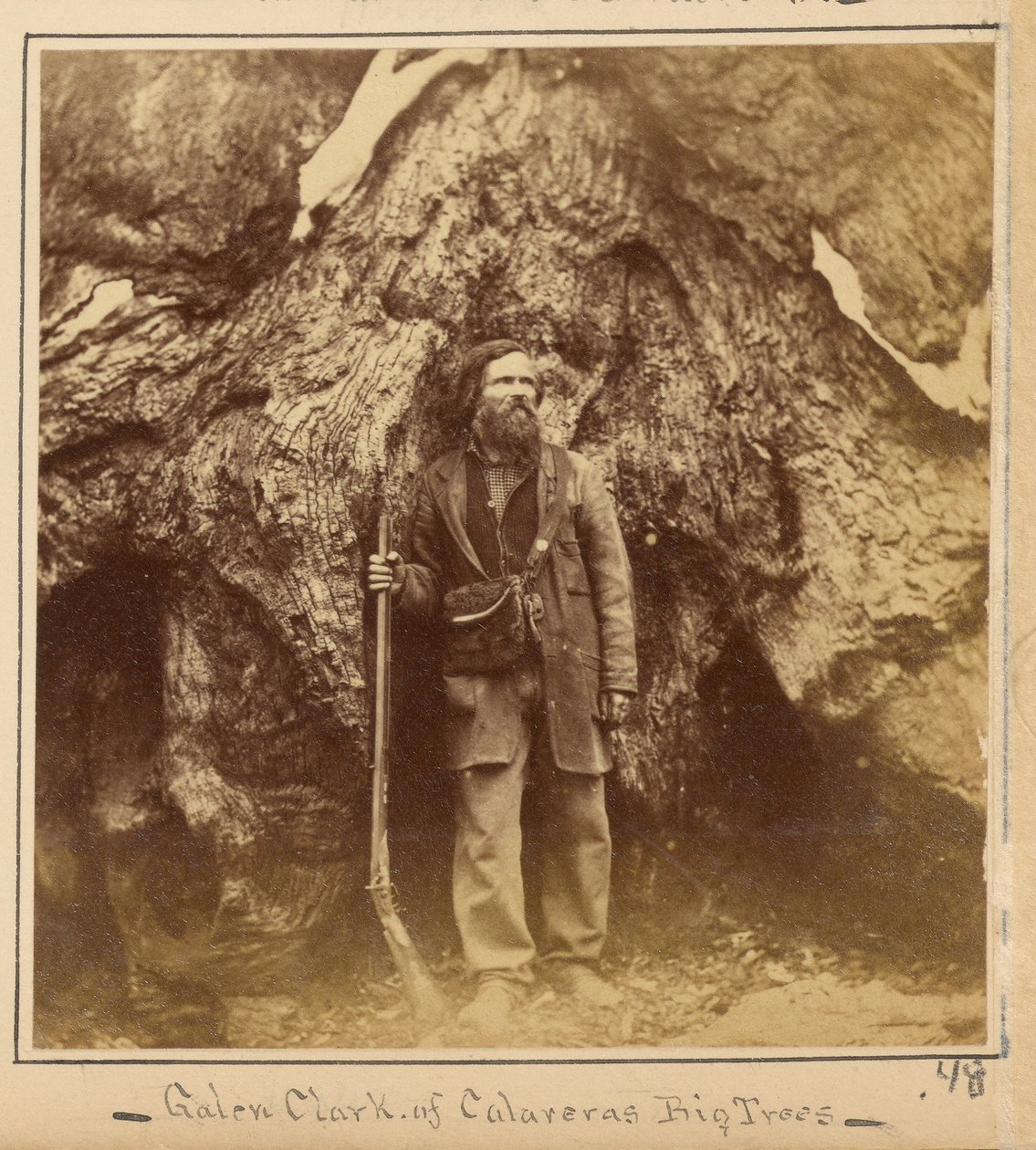 Galen Clark, Esq., Mariposa Grove, contea di Mariposa, California da Carleton Watkins