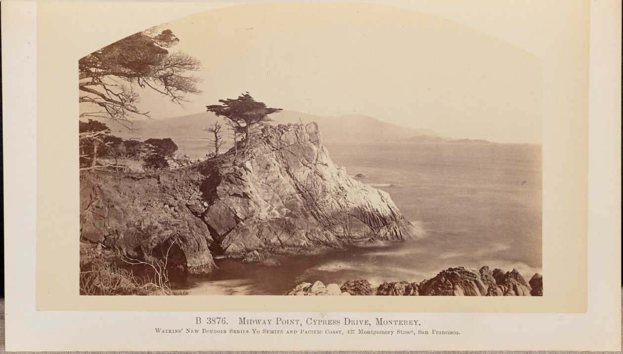 Midway Point, Cypress Drive, Monterey da Carleton Watkins