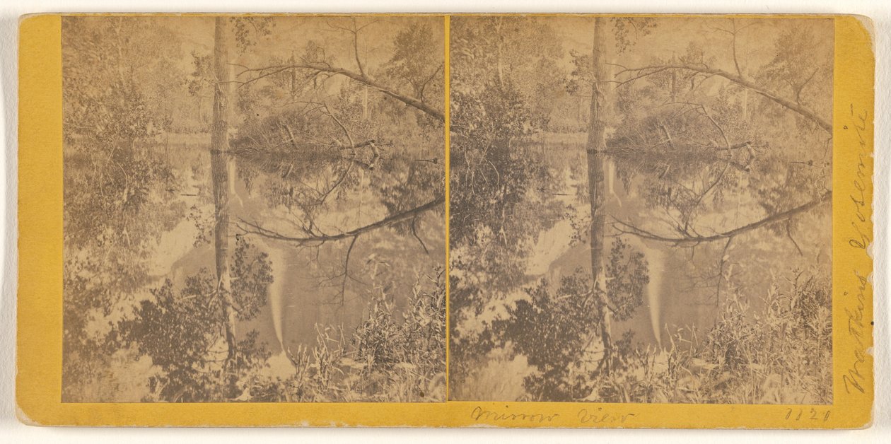 [Vista allo specchio, Yosemite Valley, Contea di Mariposa, Cal.] da Carleton Watkins