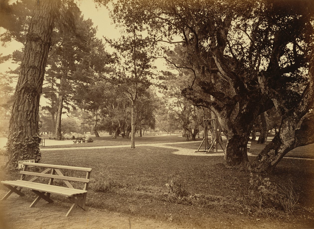 [Monterey, California. Hotel Del Monte, Lawn View.] da Carleton Watkins