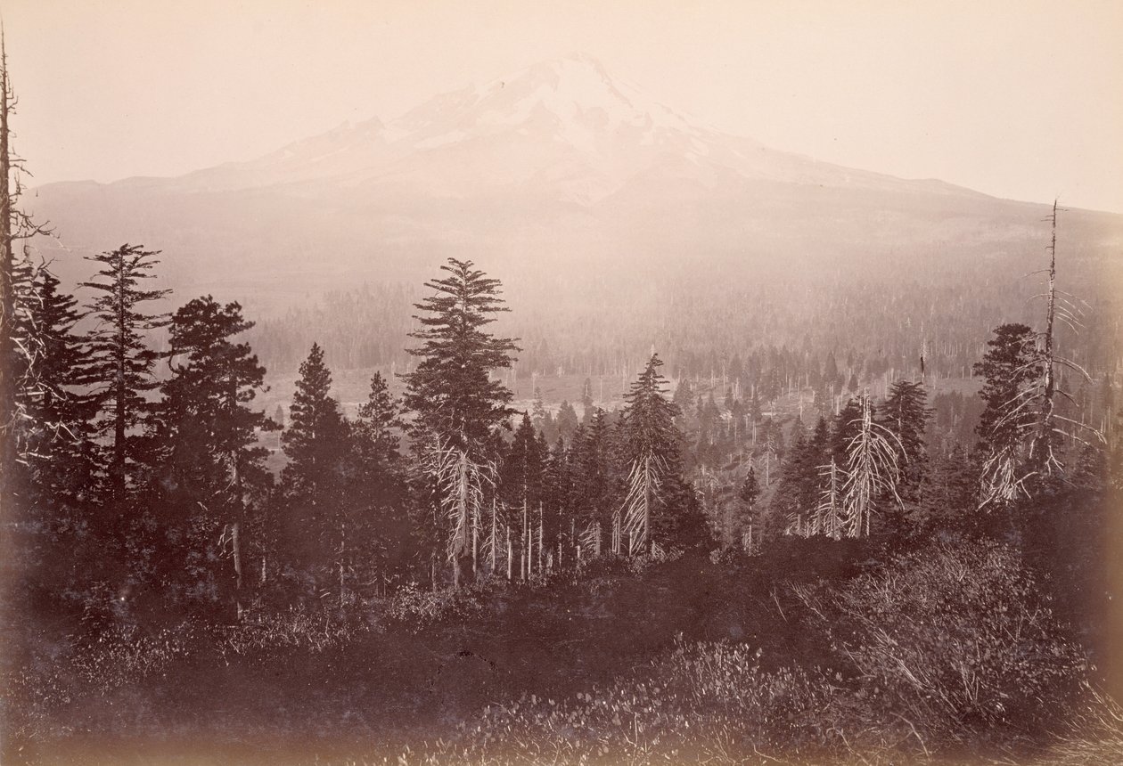 Monte Shasta da Carleton Watkins