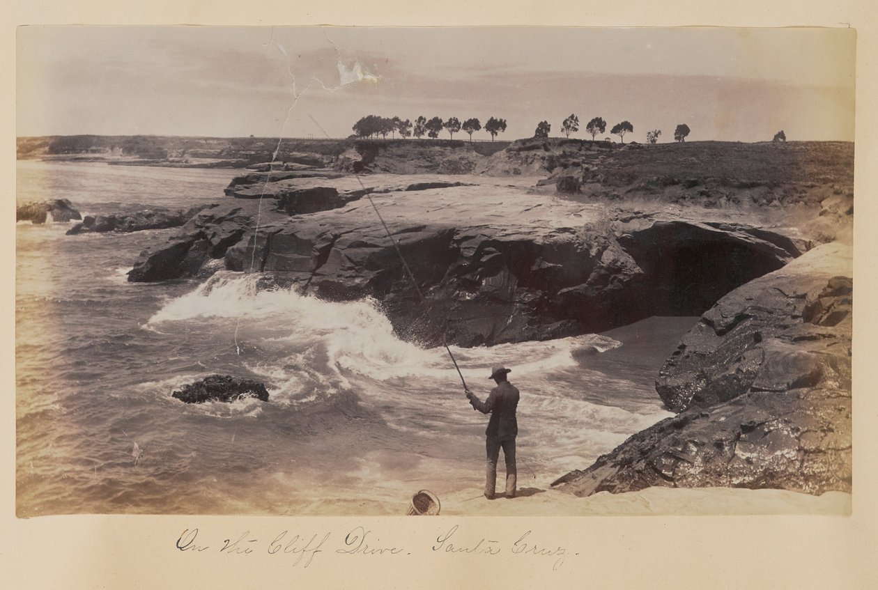 Sulla strada panoramica costiera, Santa Cruz da Carleton Watkins