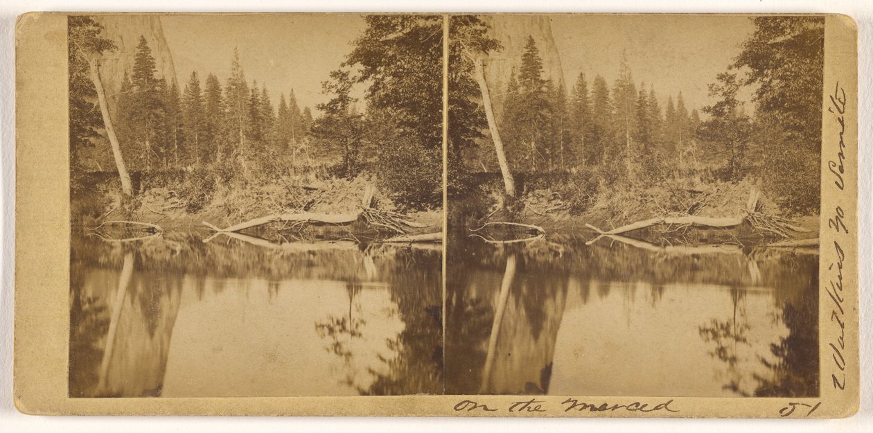 Am Merced da Carleton Watkins