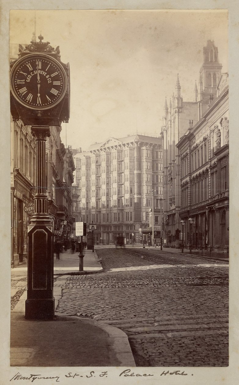 Palace Hotel, Montgomery Street, San Francisco da Carleton Watkins