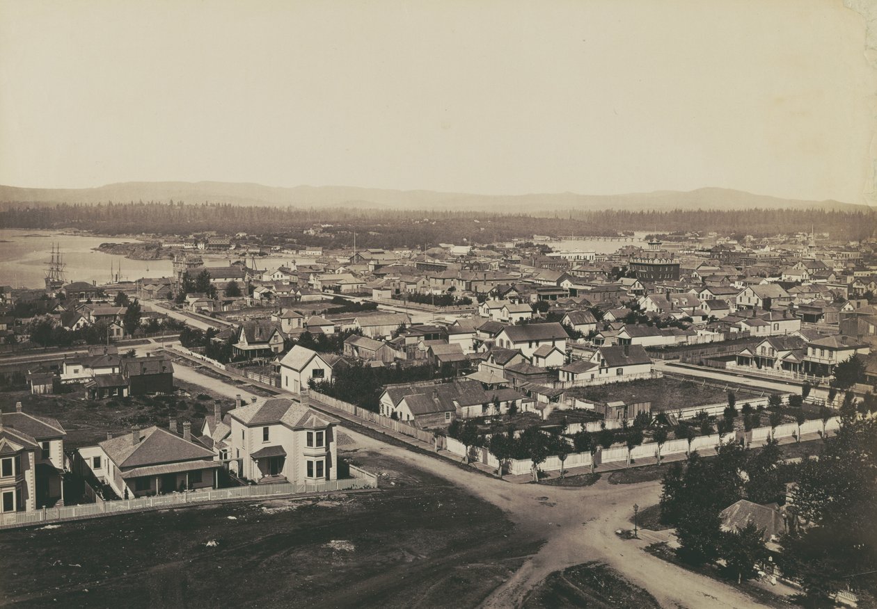 [Panorama di Victoria, B.C. - veduta dalla Christ Church n. 2] da Carleton Watkins
