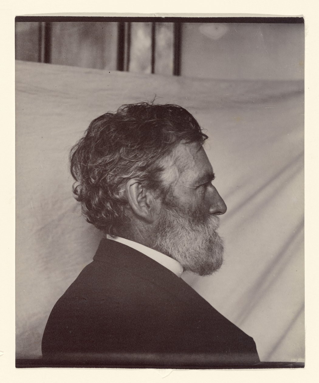 Ritratto di George Davidson da Carleton Watkins