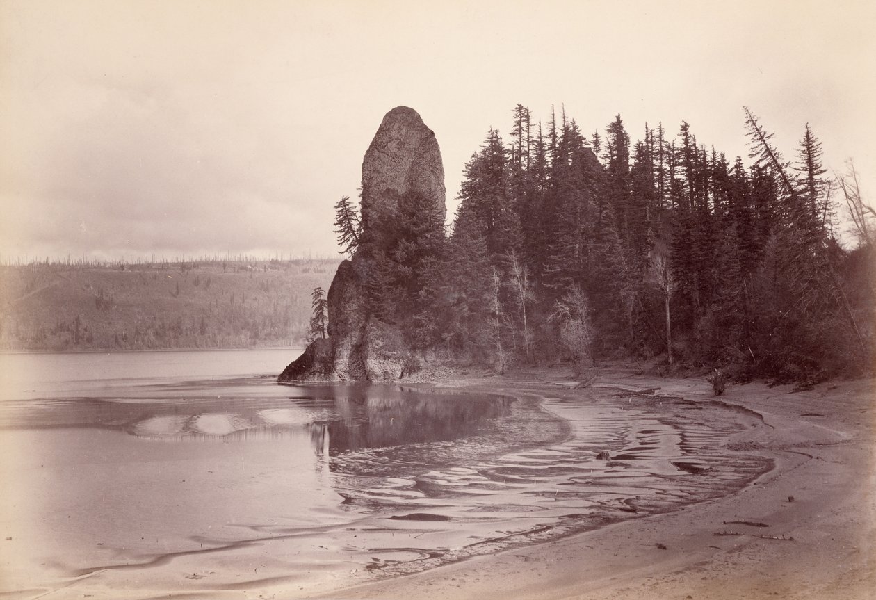 [Rooster Rock - fiume Columbia] da Carleton Watkins