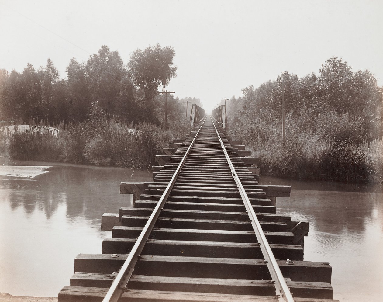 Il canale Calloway da Carleton Watkins