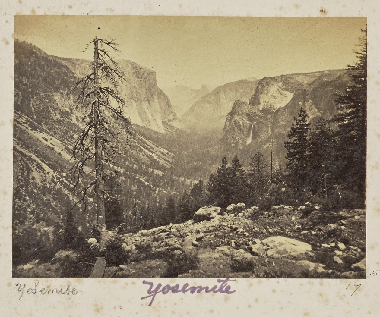 La valle di Yosemite, dal sentiero di Mariposa, valle di Yosemite, contea di Mariposa, California (n. 1138) da Carleton Watkins