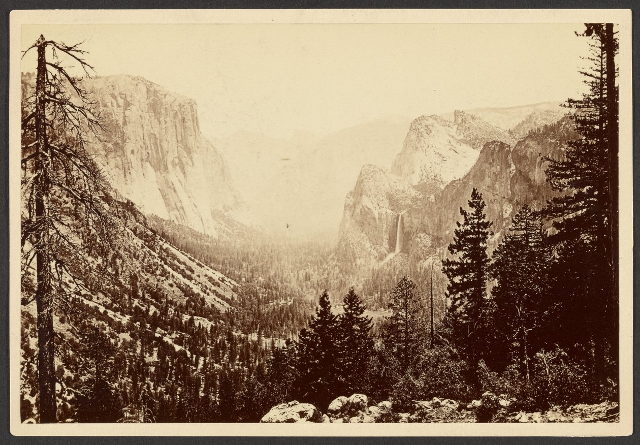 Yosemite dall