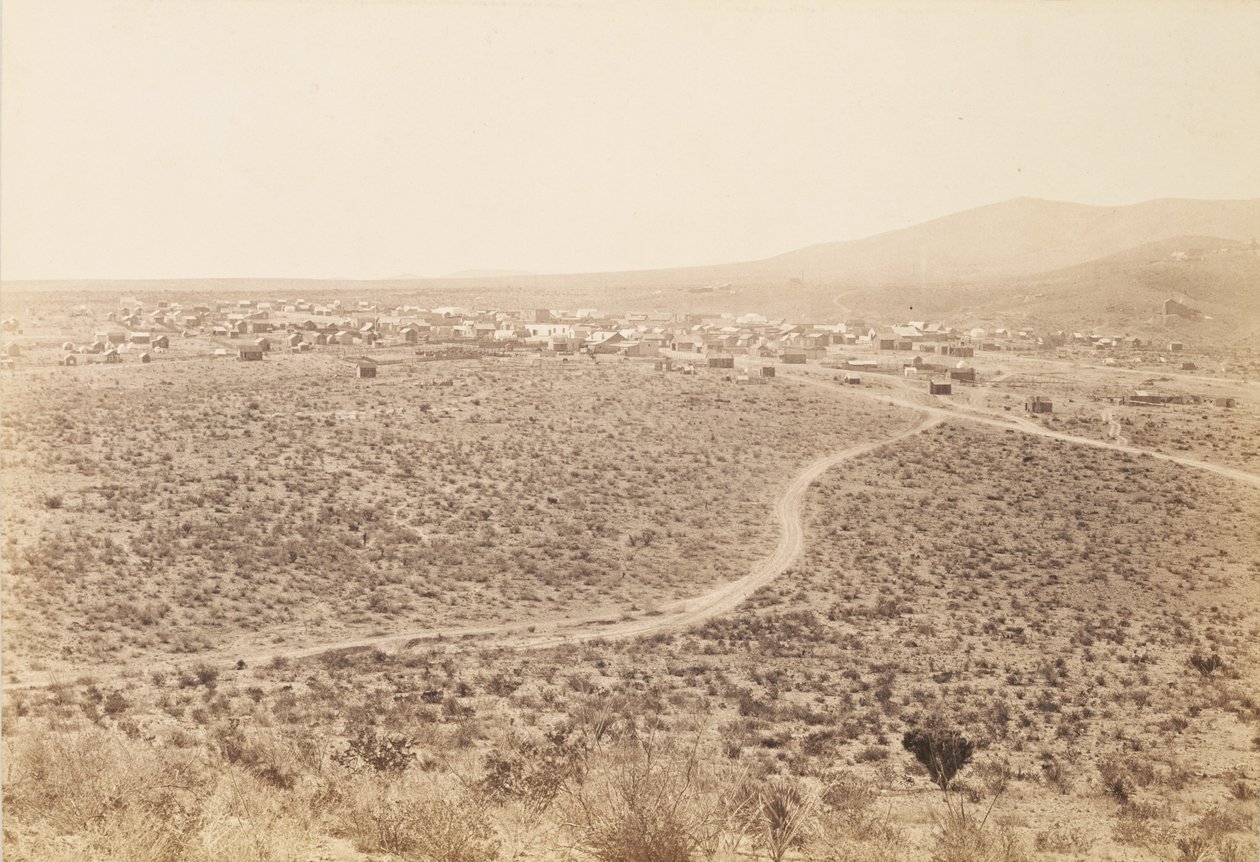 [Tombstone, Arizona] da Carleton Watkins