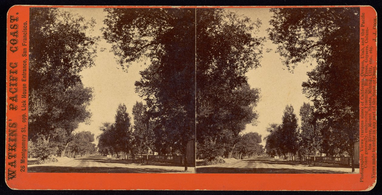 Vista della strada alberata di San Gabriel, California da Carleton Watkins