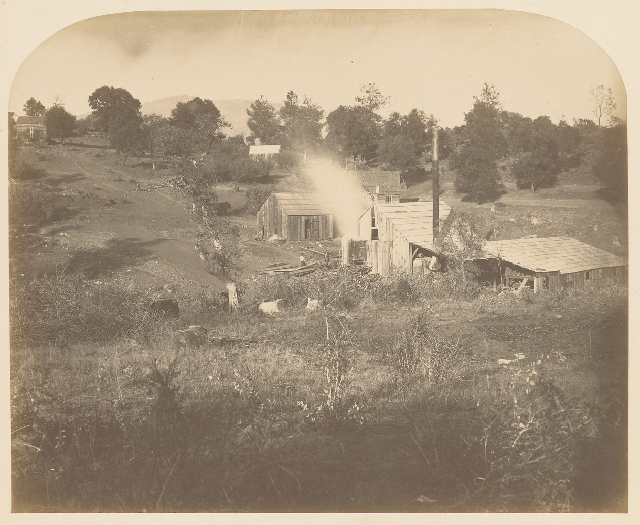 [Il mulino di Turner] da Carleton Watkins