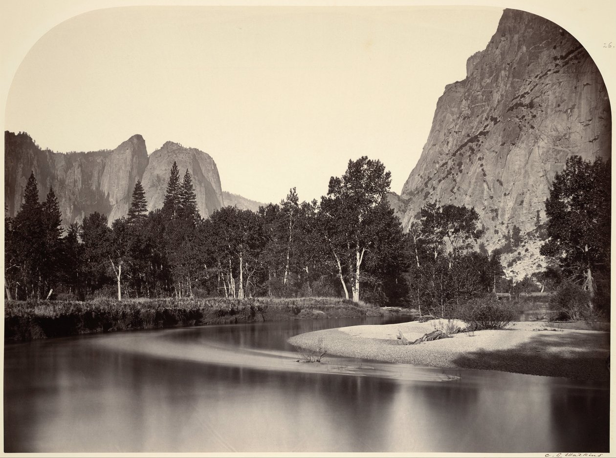 Veduta da Camp Grove, Yosemite da Carleton Watkins