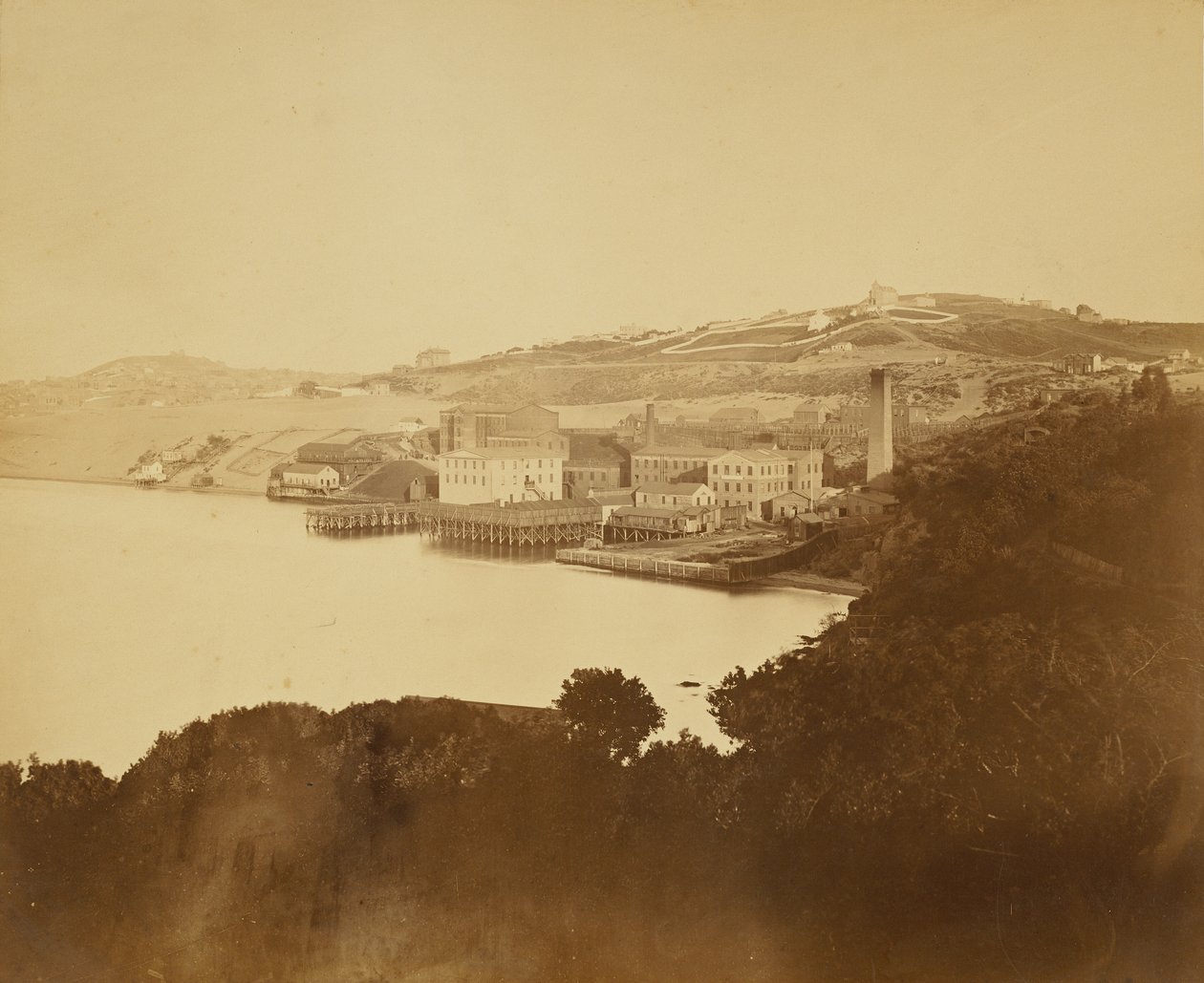[Lanificio, San Francisco] da Carleton Watkins