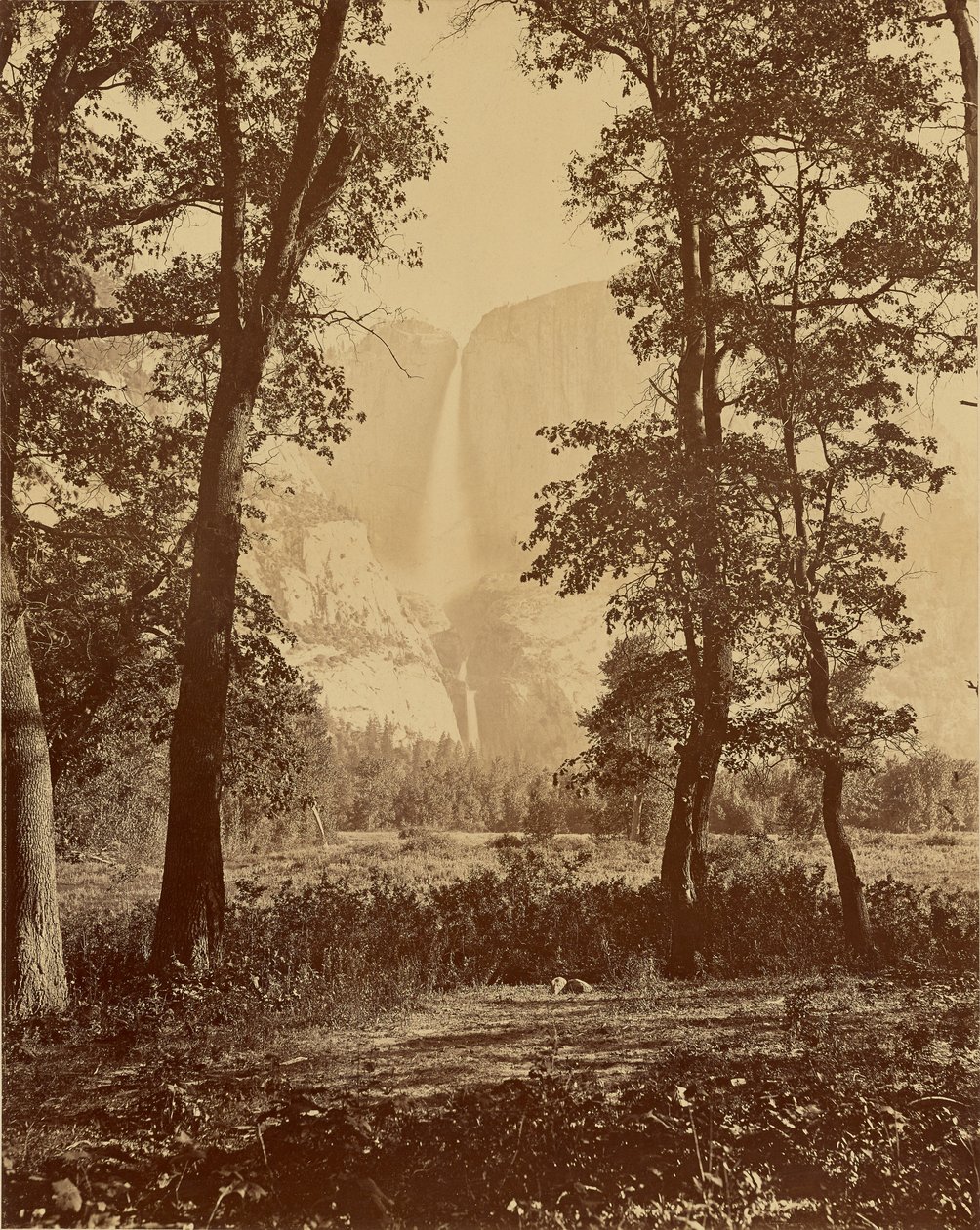 [Cascate Yosemite viste dal basso] da Carleton Watkins