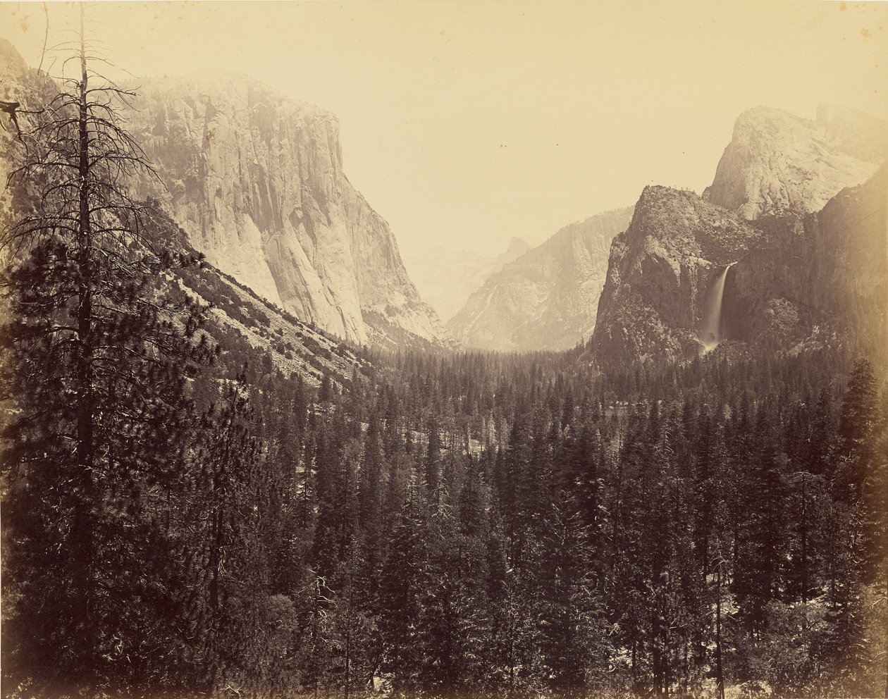 [Valle di Yosemite dal sentiero di Mariposa] da Carleton Watkins