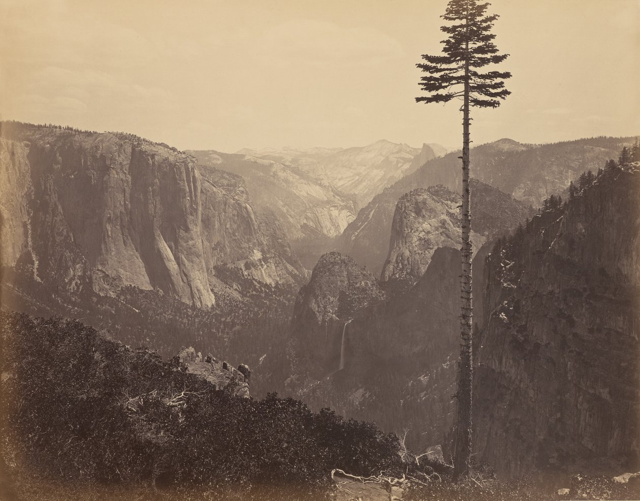 [Valle di Yosemite dal miglior punto panoramico generale] da Carleton Watkins