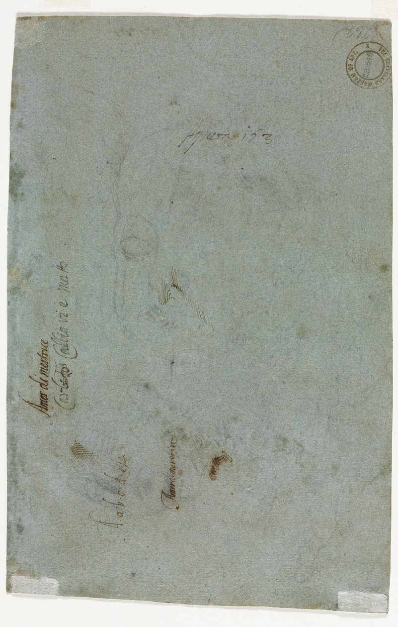 Schizzo della testa di un bambino, c. 1586 da Carletto Caliari