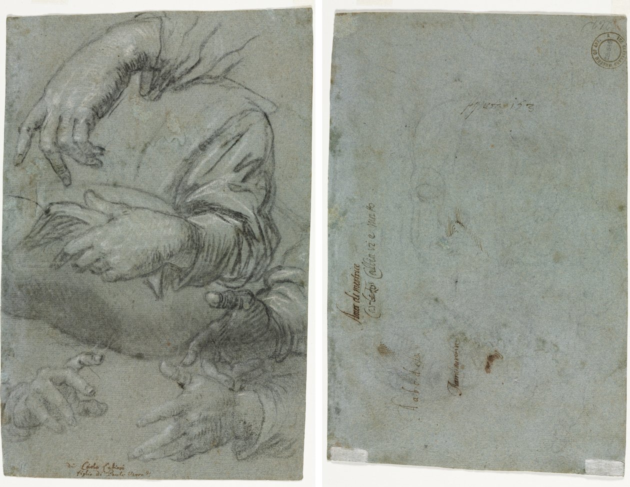 Studi di mani (recto); Schizzo della testa di un bambino (verso) da Carletto Caliari