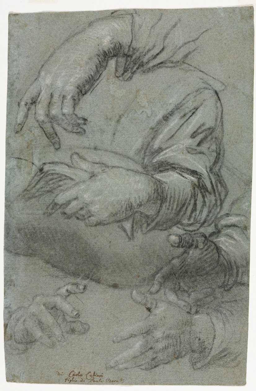 Studi di mani, recto, c. 1586 da Carletto Caliari