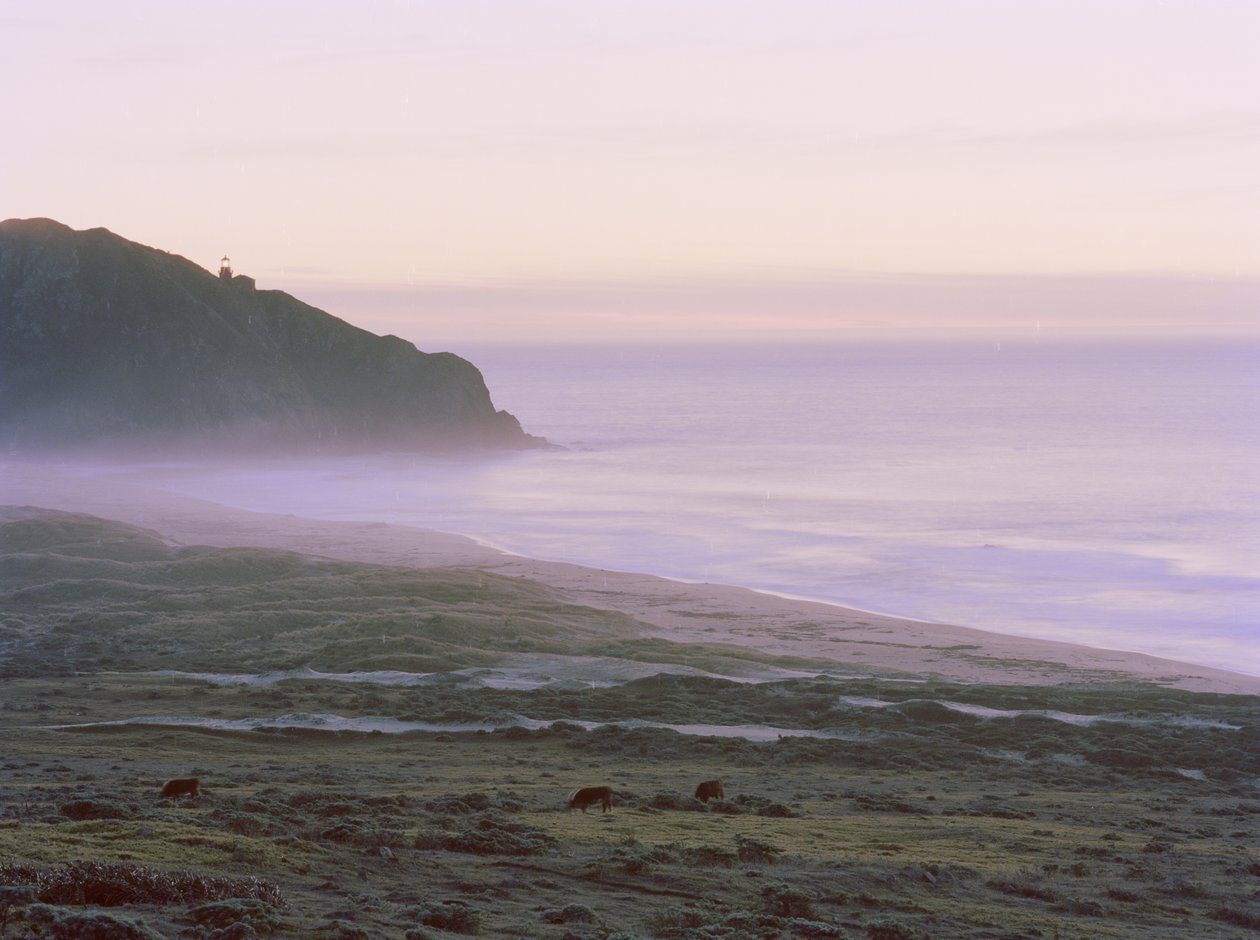 Big Sur, 2014 da Carli Choi
