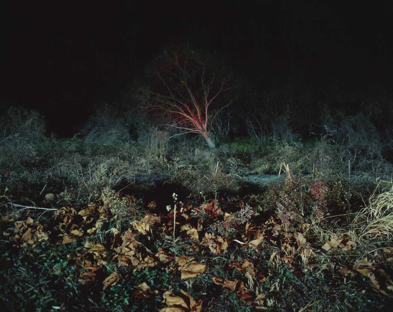 Dipingere al buio, 2011 da Carli Choi