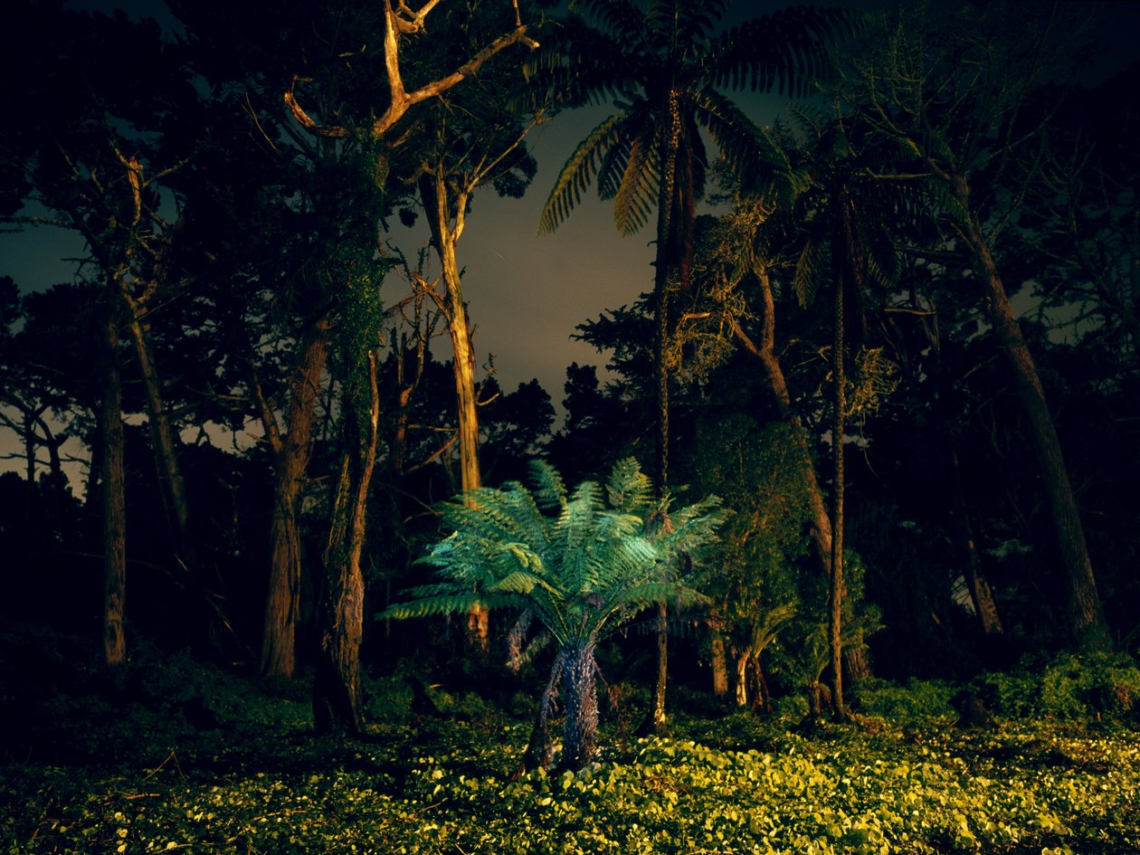 Pittura al buio, 2014 da Carli Choi