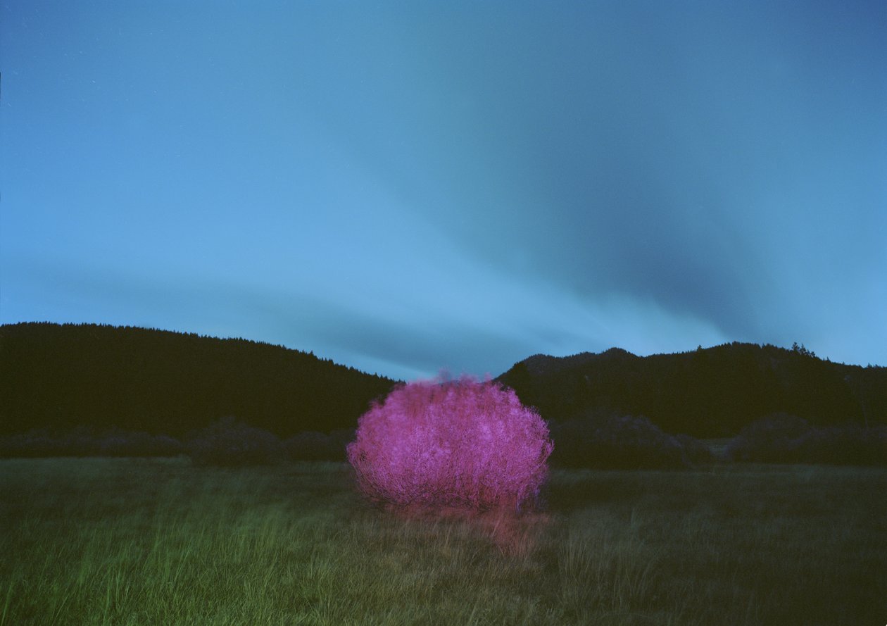 Pittura al buio, 2015 da Carli Choi