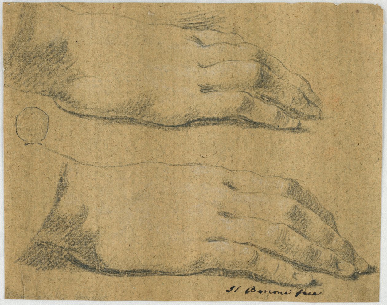 Studio: Due mani destre, di una donna da Carlo Bononi