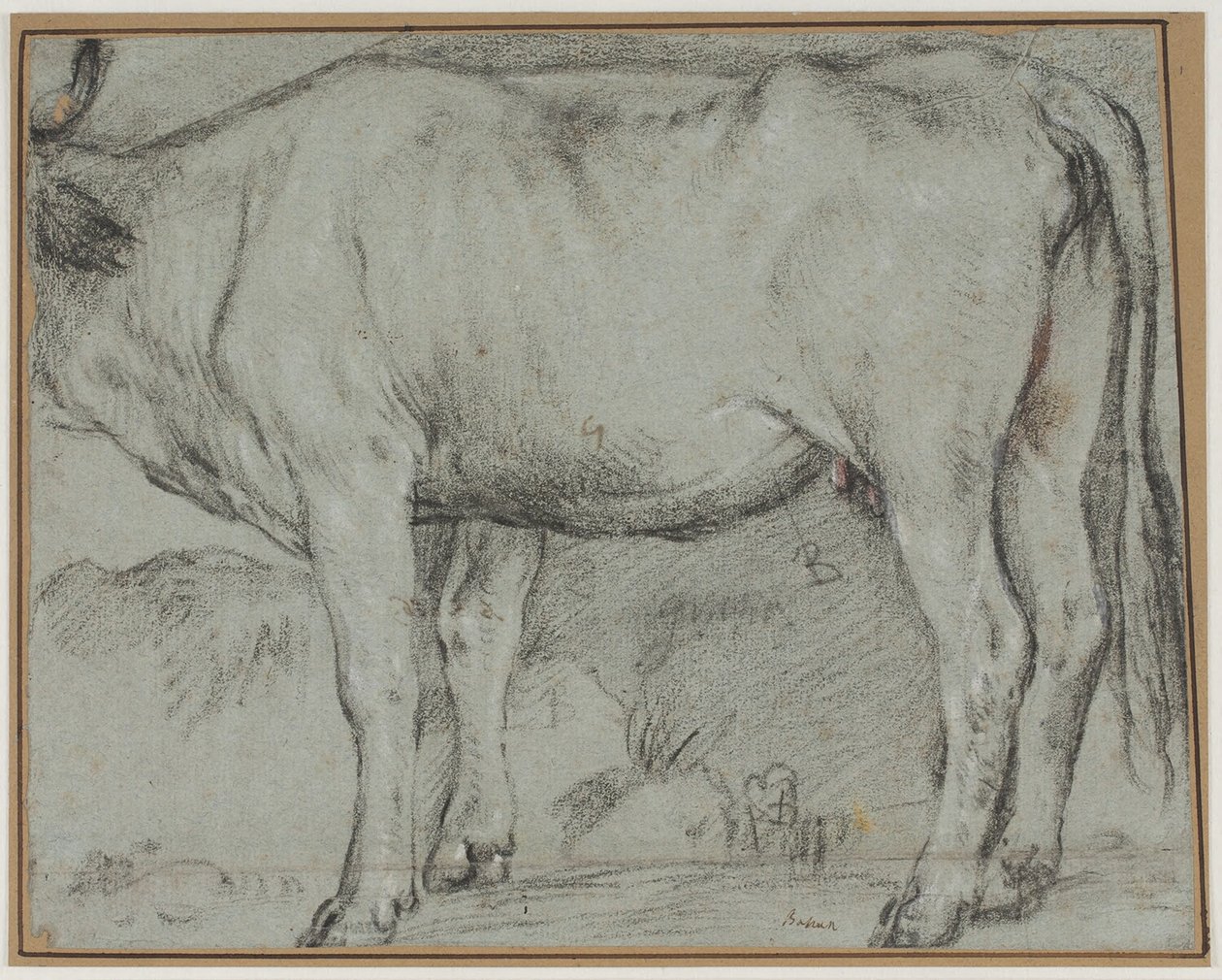 Mucca in piedi (testa mancante) da Carlo Caliari