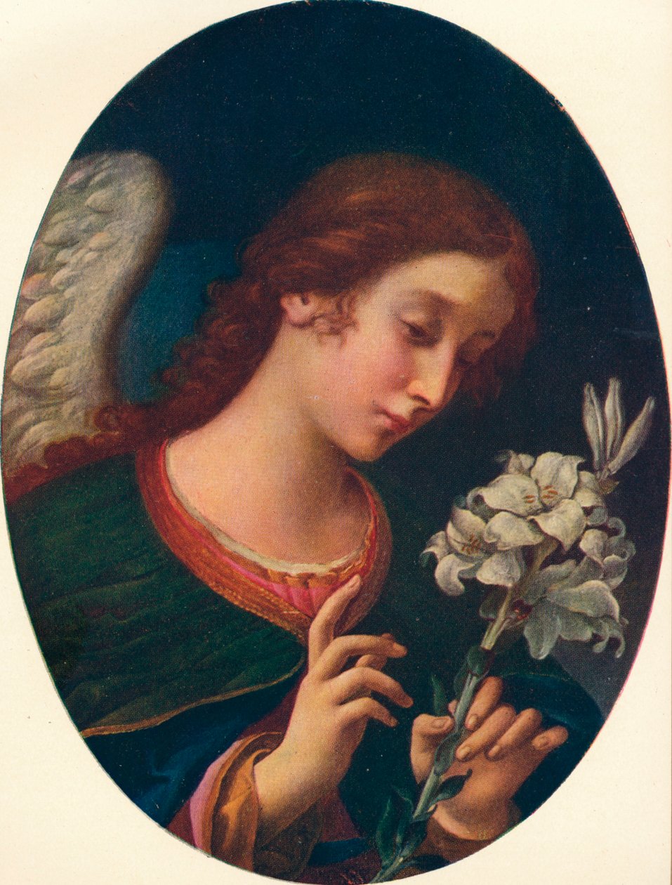 Angelo dell