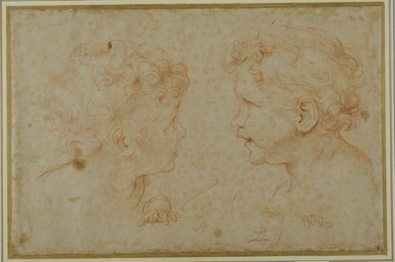 Studi della testa e della mano sinistra di un putto da Carlo Maratti