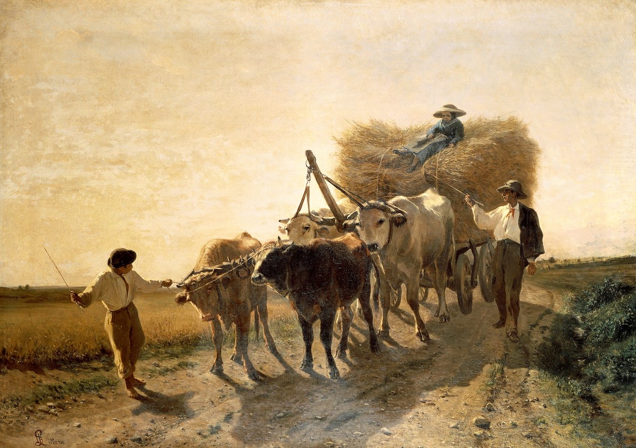 Raccolto, di Carlo Pittara (1836-1890) da Carlo Pittara